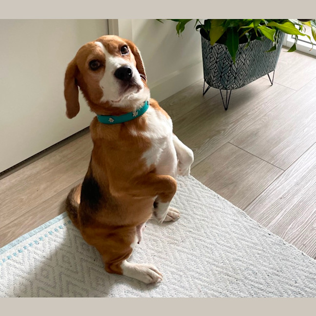 Photo of Adorable Amree