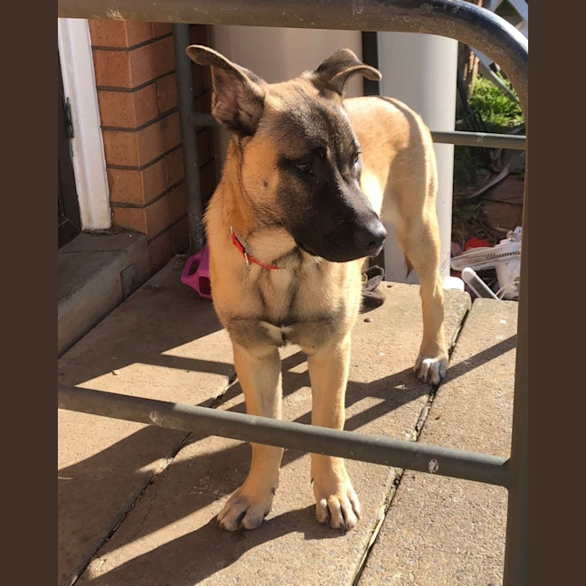 Photo of Capt. Jolly