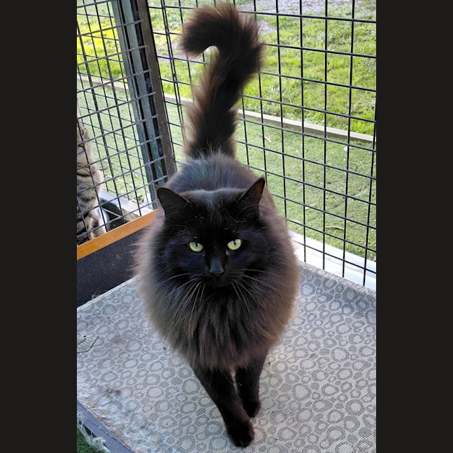 Photo of Handsome