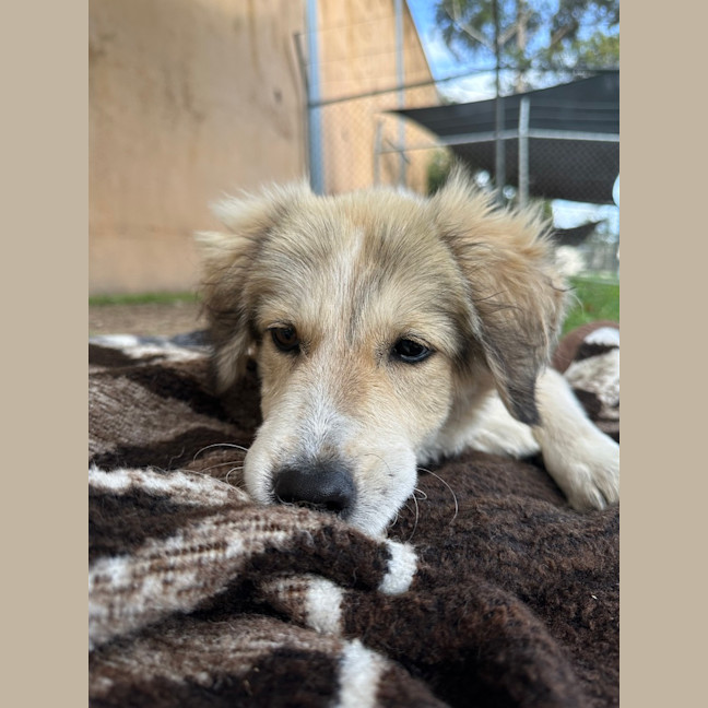 Photo of Kita