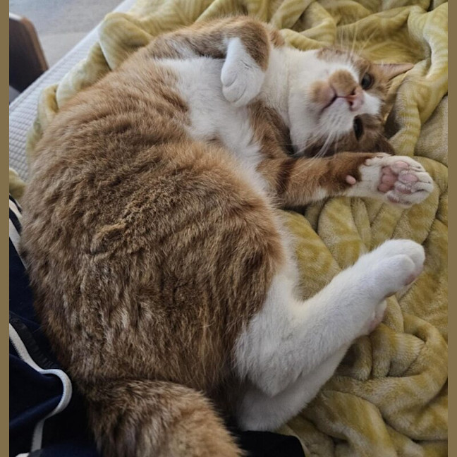 Photo of Owen