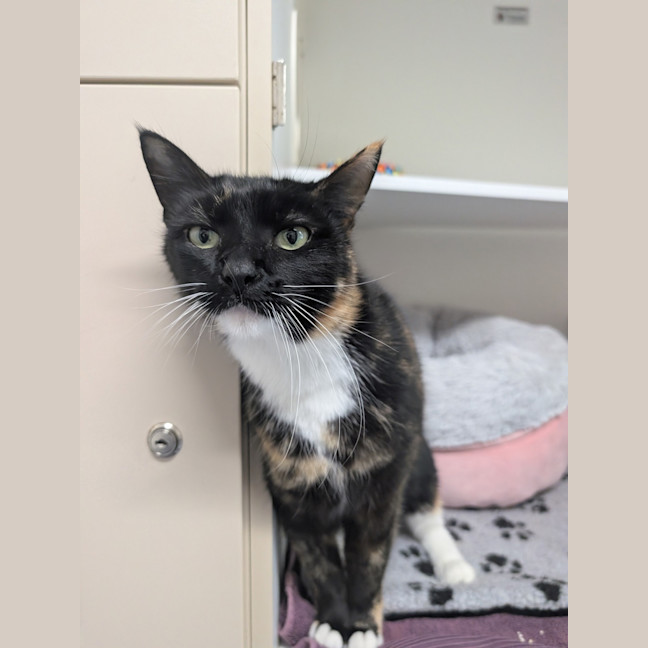 Photo of Minnie