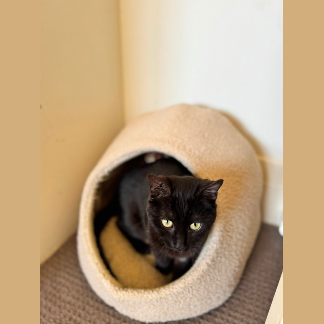 Photo of Marmite (Salem)