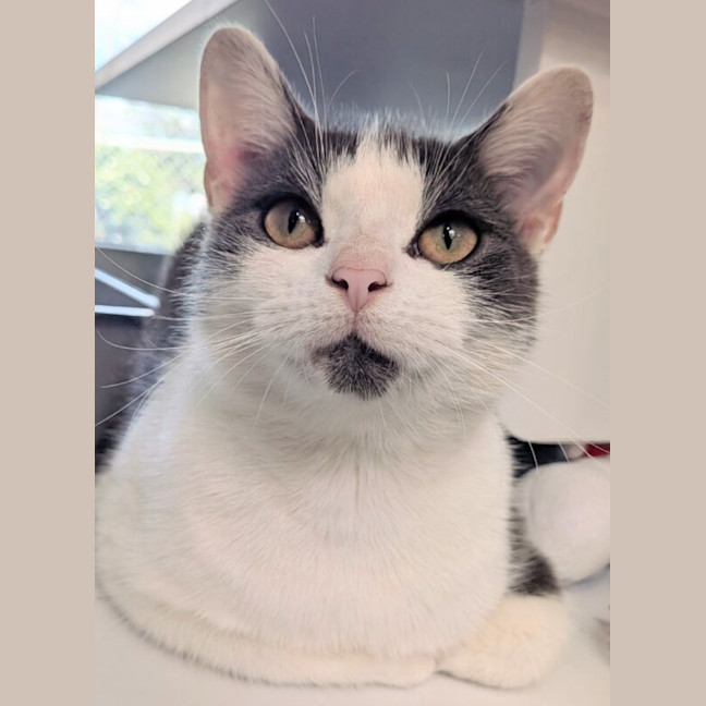 Photo of Bonnie