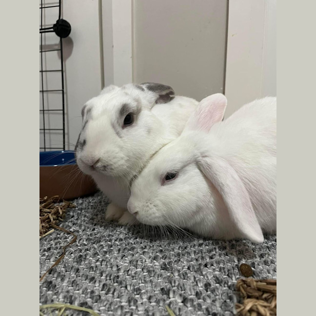 Photo of Amira And Timmy