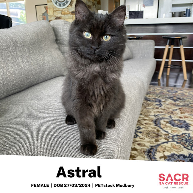 Photo of Astral