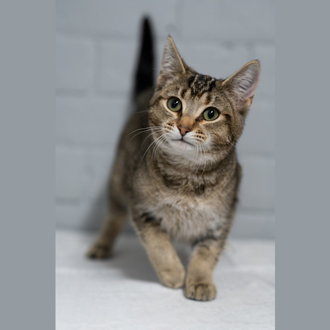 Photo of Sandy