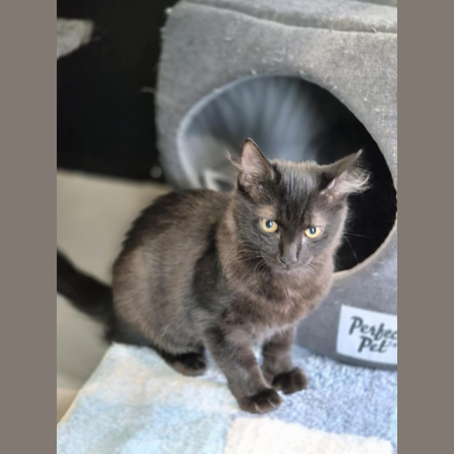 Photo of Marley Zane