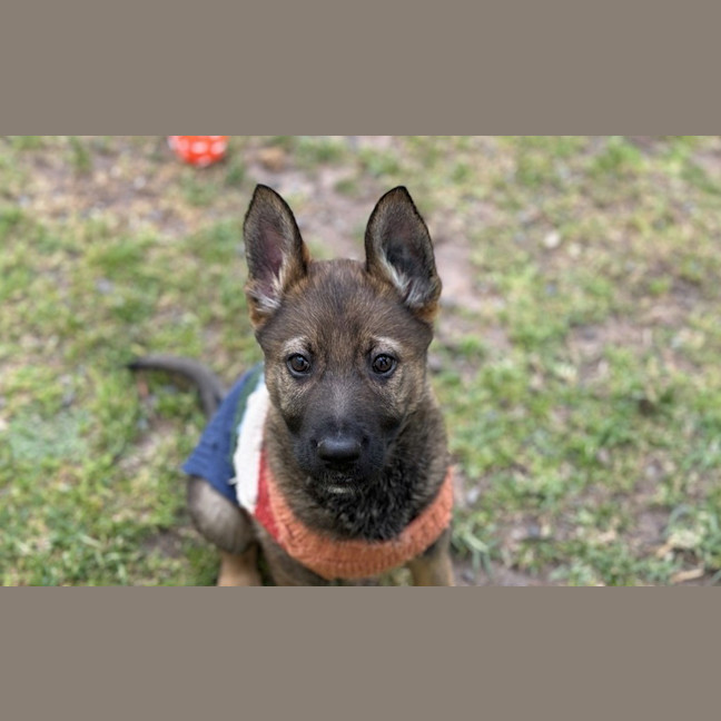 Photo of Evie