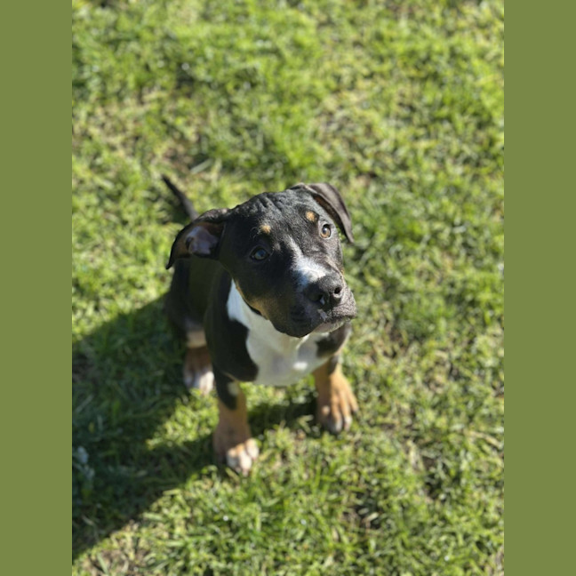 Photo of 🧭 Freddie 6359 🧭