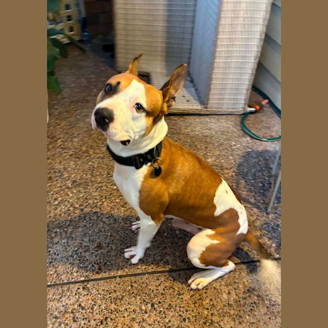 Photo of Chase