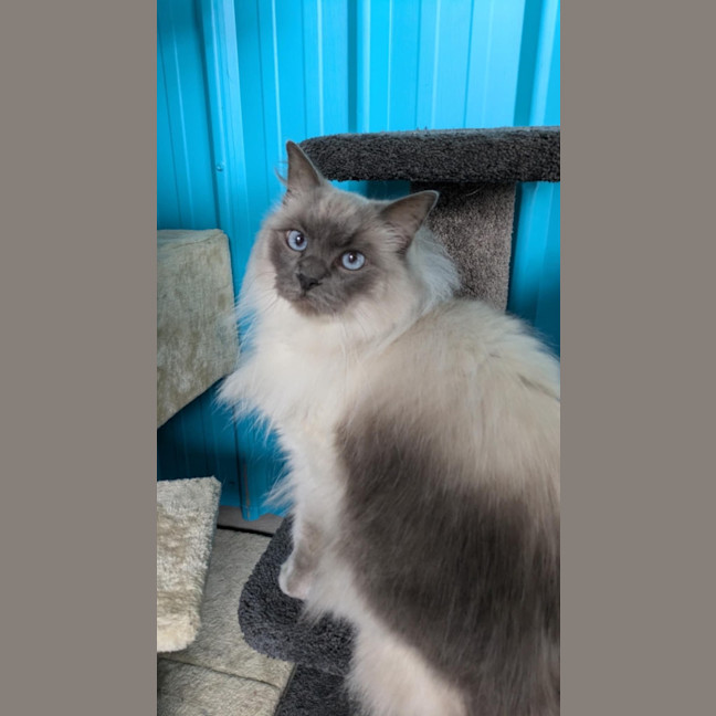 Photo of Bib
