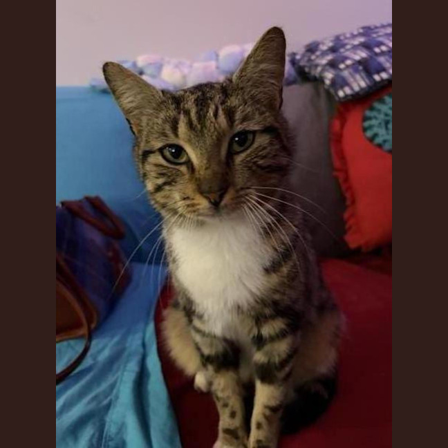 Photo of Mousie