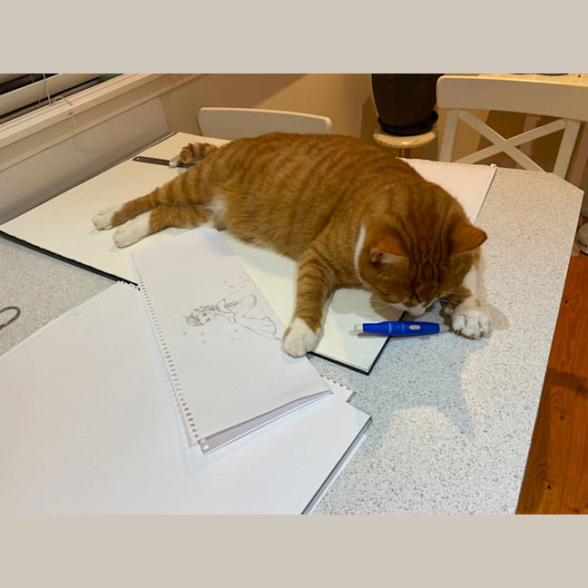 Photo of Tigger   The Perfect Family Cat