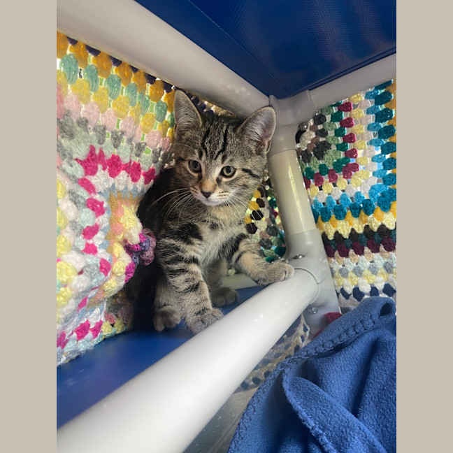 Photo of Mr. Wiggle