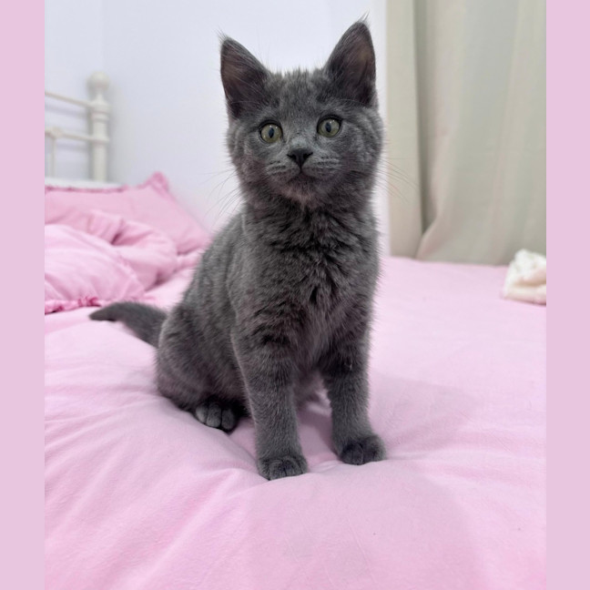 Photo of Ella Bleu