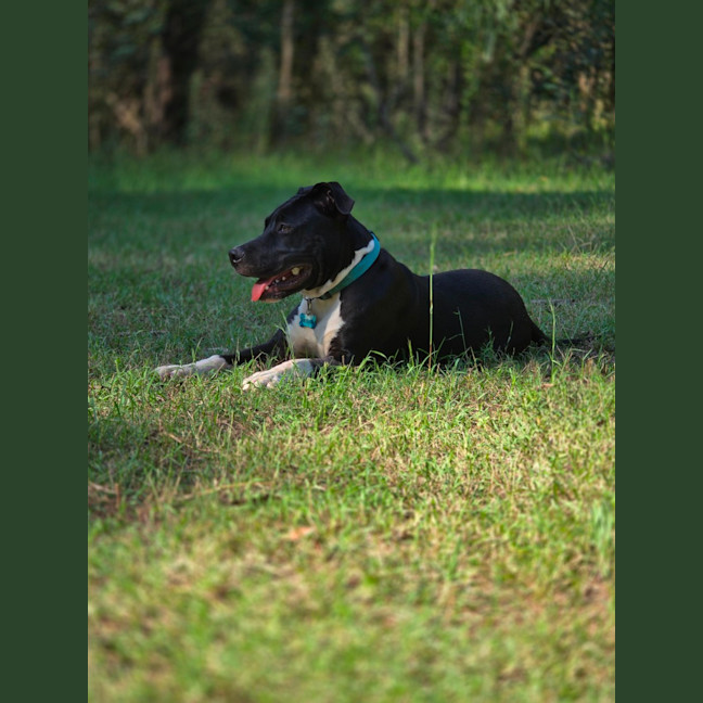 Photo of Bronson   Valentines Day Special 