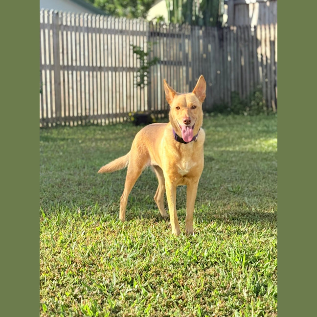 Photo of Cleo And Suki