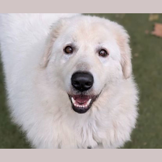 Photo of Zeus
