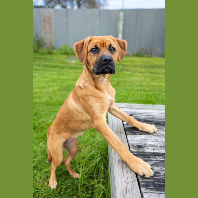 Photo of Lotti