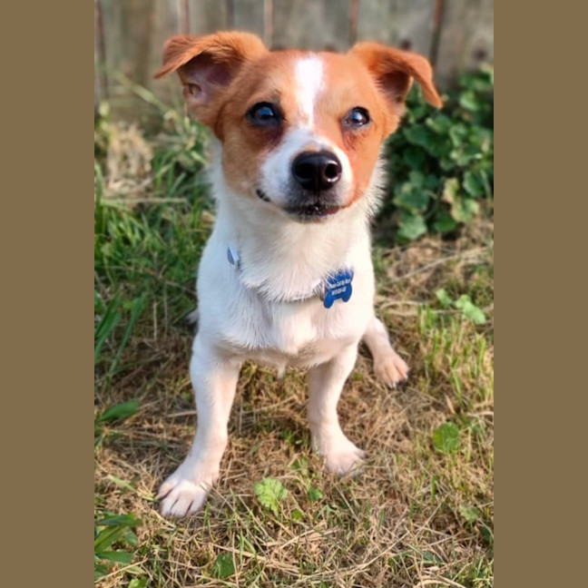 Photo of Jack