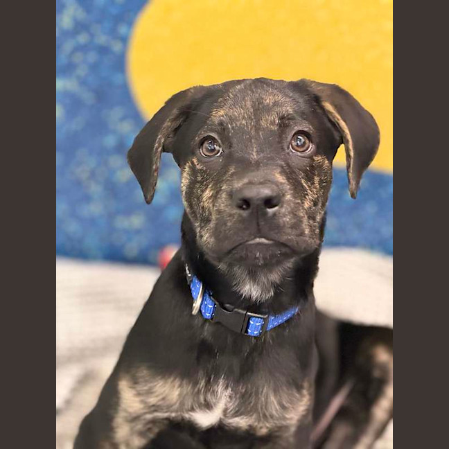 Photo of Spike