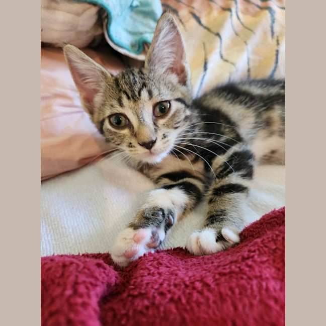 Photo of Tabatha