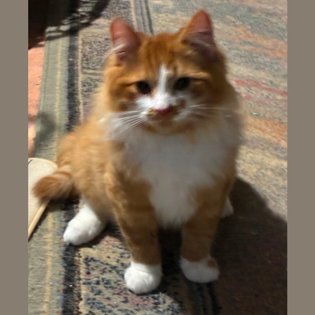 Photo of Benny