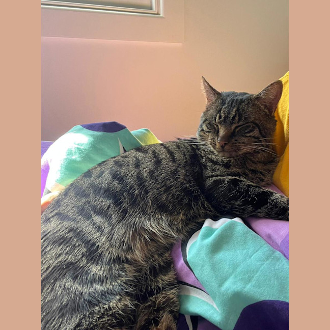 Photo of Bruce