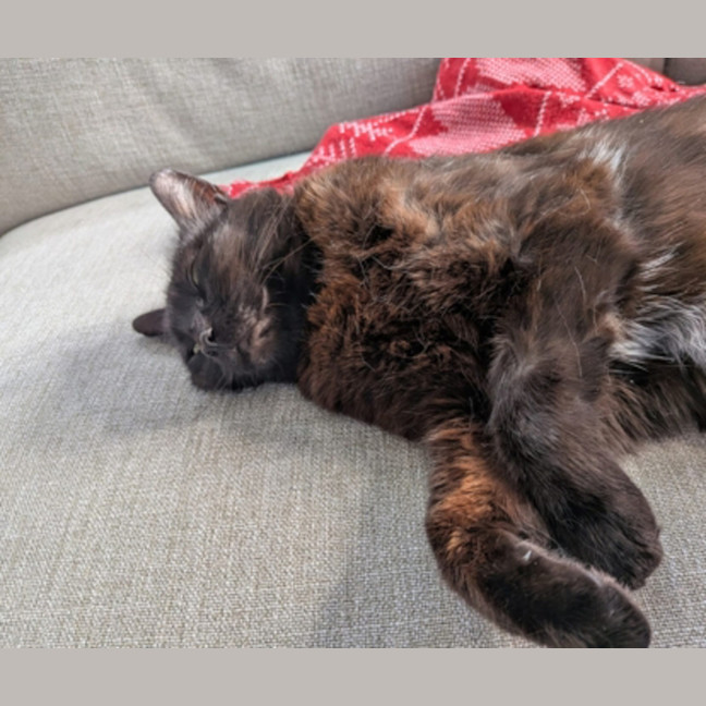 Photo of Freda