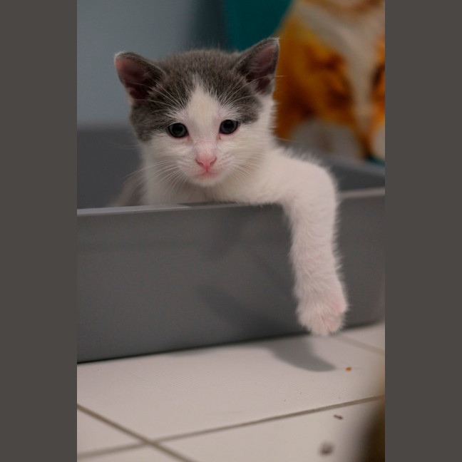 Photo of 🩵 Concrete 🩵