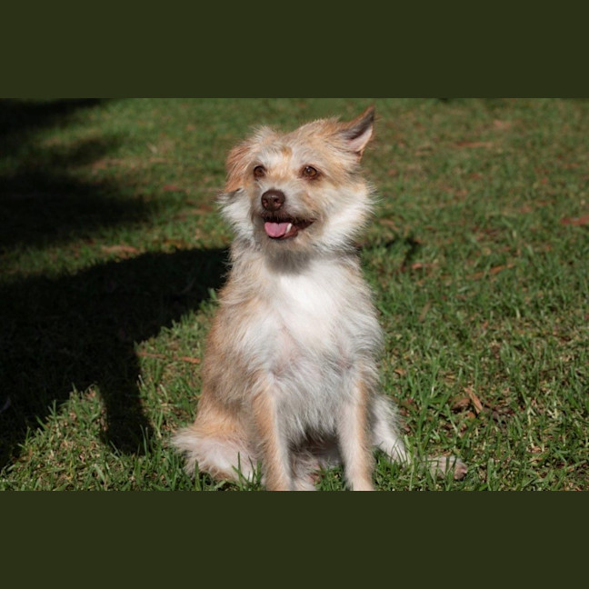 Photo of Buster Bulleau