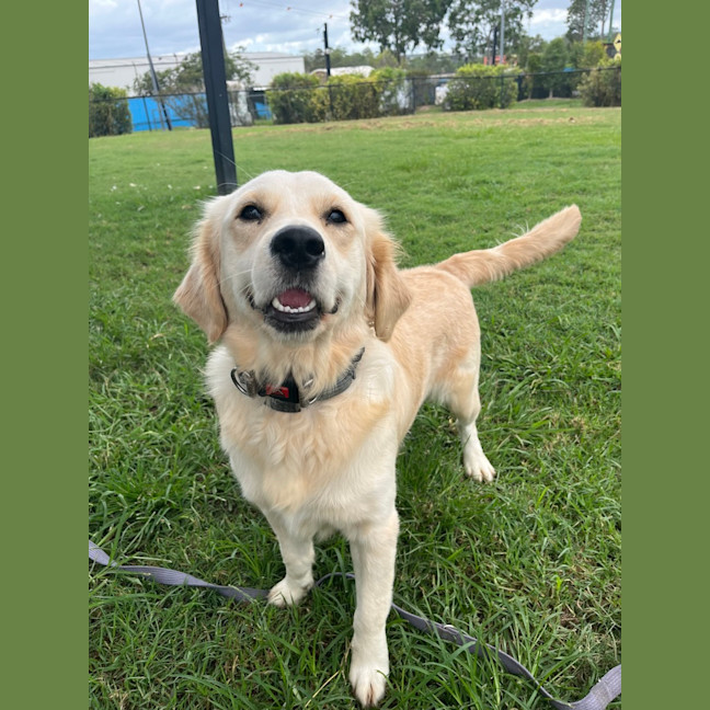 Photo of Bentley