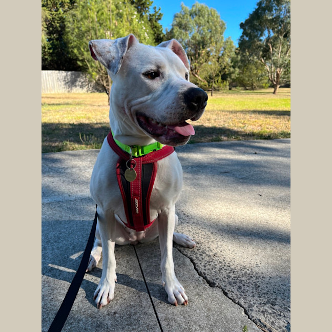 Photo of Lucy Goosey