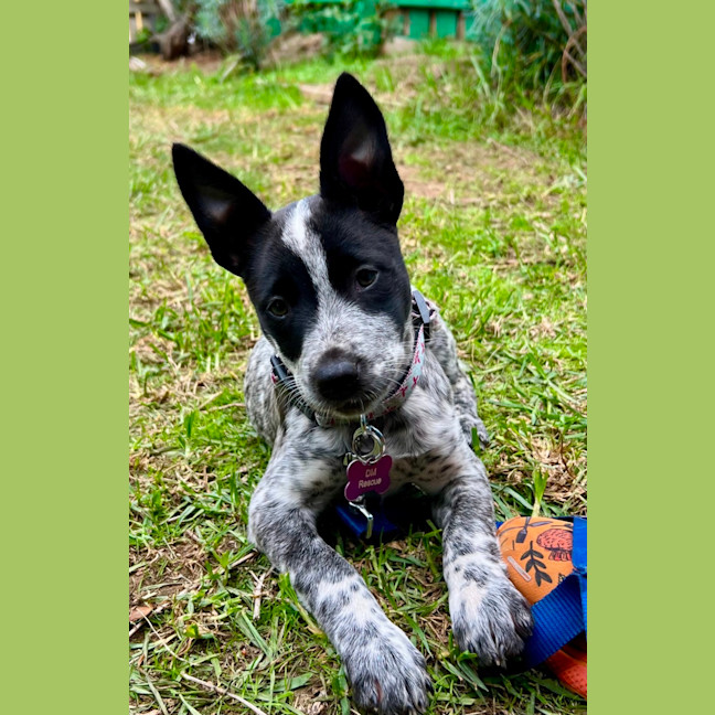 Photo of Wynona