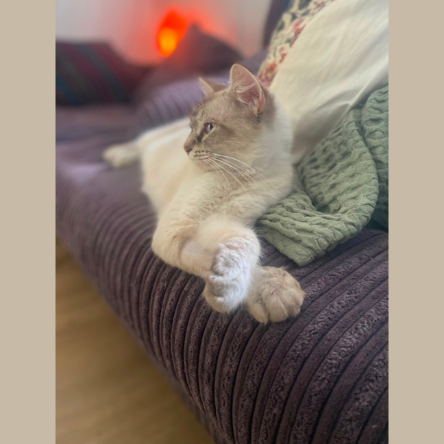 Photo of Hadley 🩷