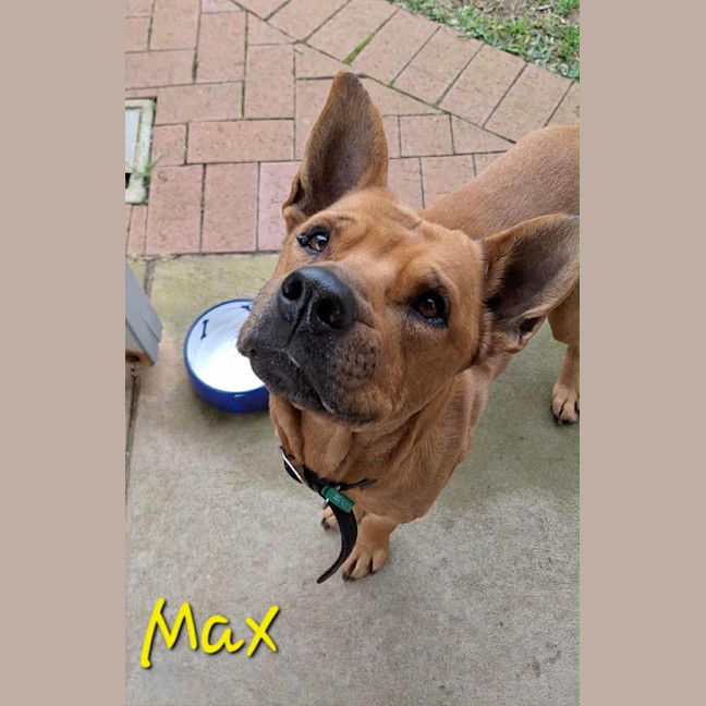 Photo of Max