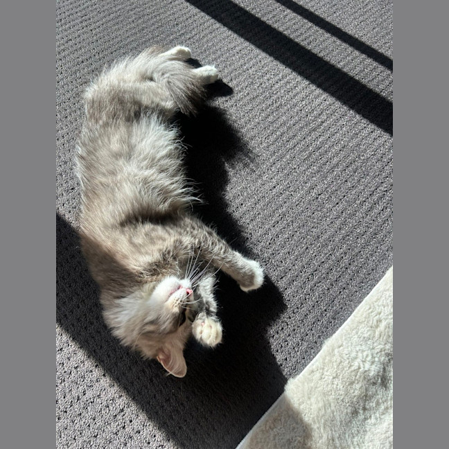 Photo of Pippy