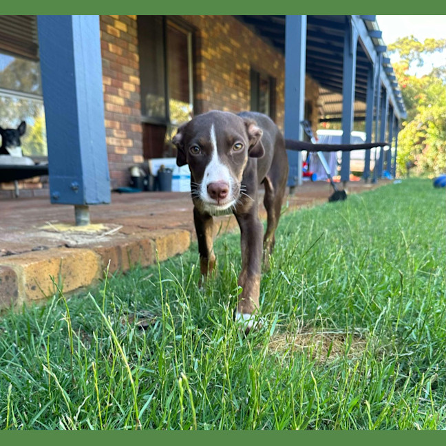 Photo of Turbo