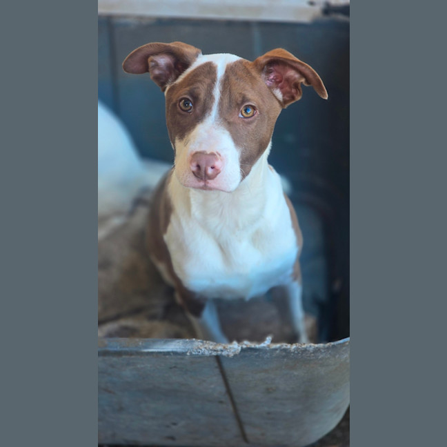 Photo of Twist