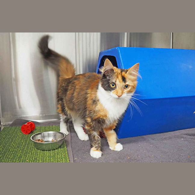 Photo of Belle