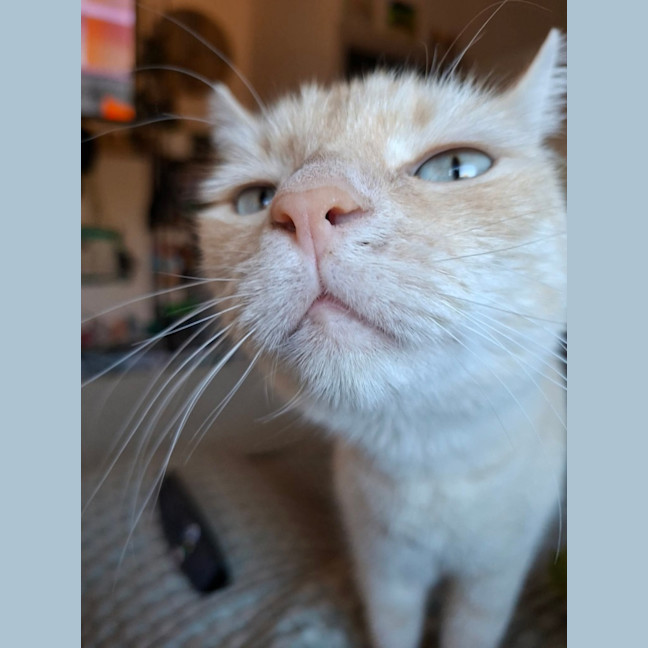 Photo of Diego 