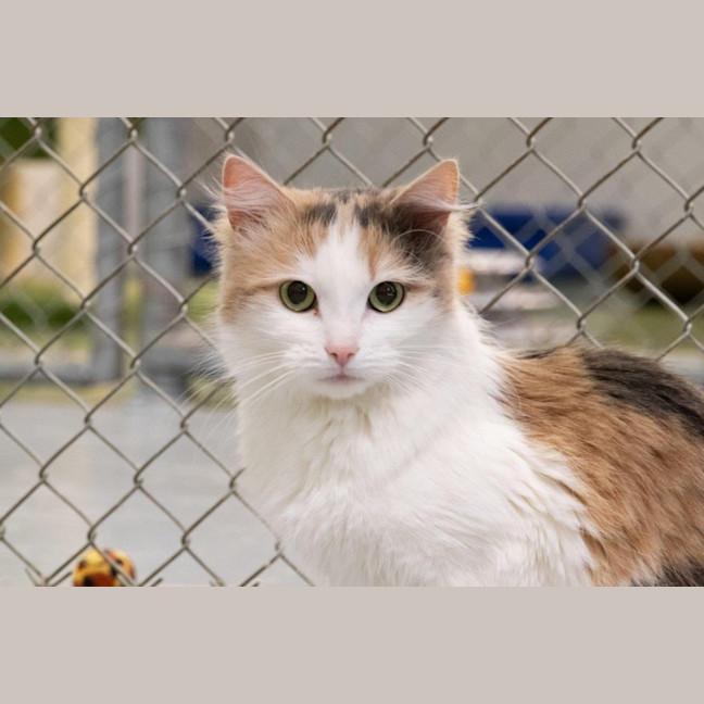 Photo of Ruth Russelton