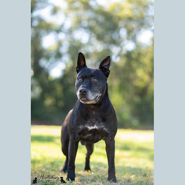 Photo of Diego