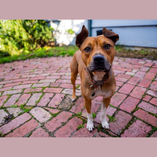 Photo of Chloe Haliwell