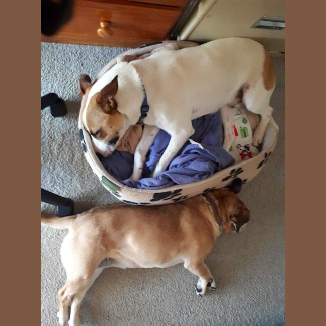 Photo of Jackson Moriarty