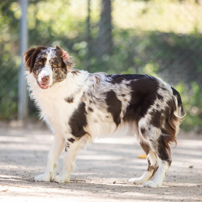 Photo of Diamond