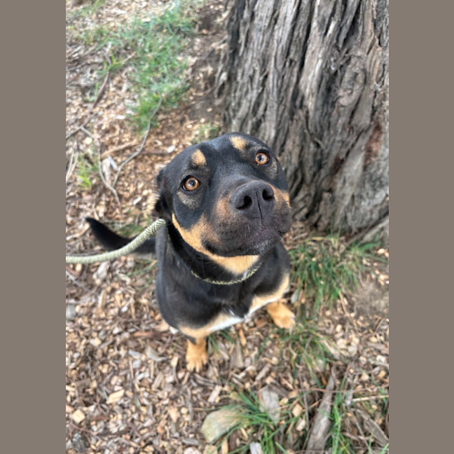 Photo of Missy