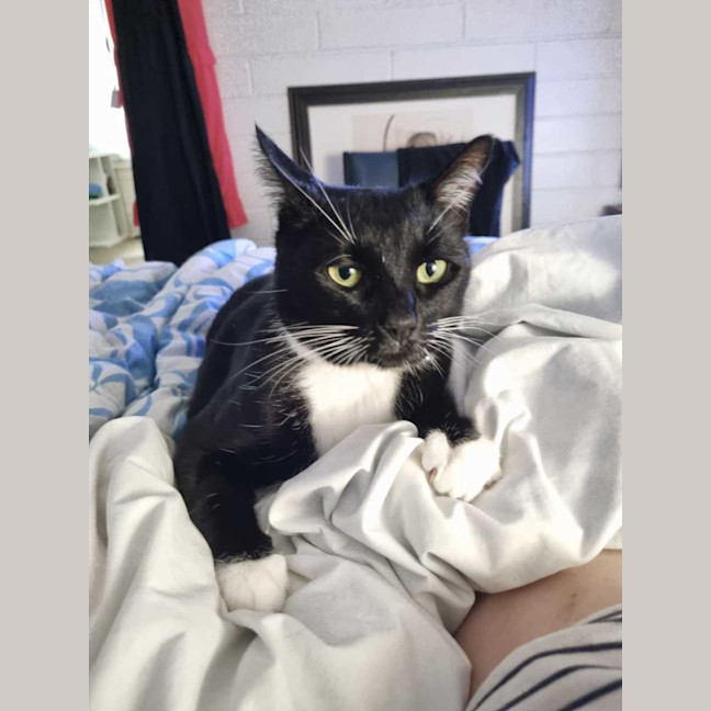 Photo of Queenie