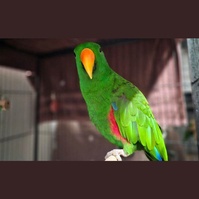 Photo of Kanye Nest